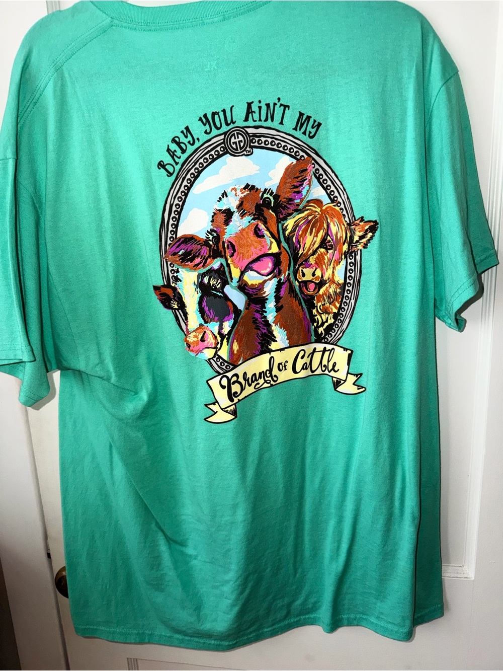 Bright Teal Graphic Tee - Baby You Ain't My Brand of Cattle